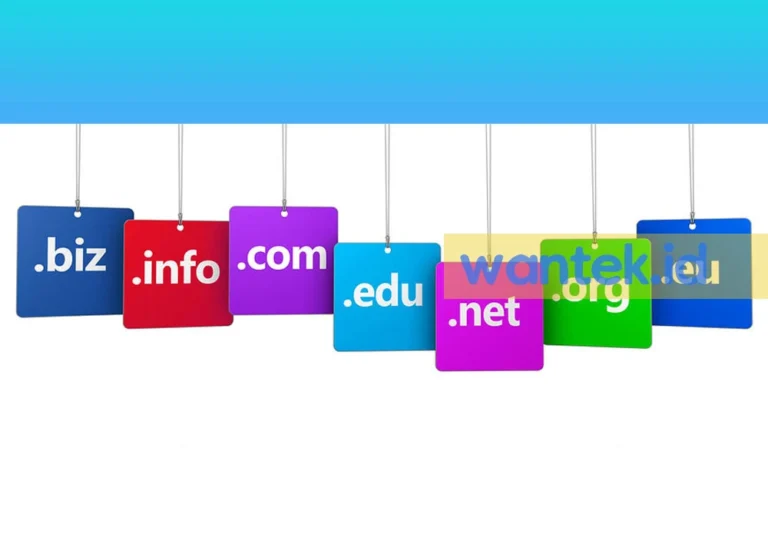 Apa Itu Ekstensi Domain dan 7 Tips Membeli Ekstensi Domain